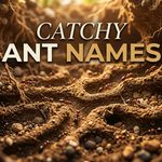 Catchy Ant Names: