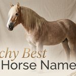 Catchy Best Big Horse Names: