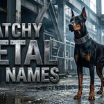 Catchy Metal Dog Names: